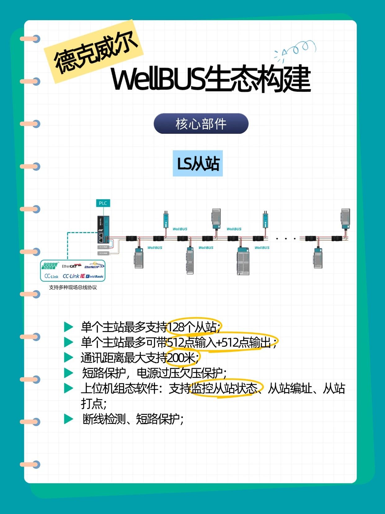 https://img.welllinkio.com//upload/20250829/cd649446a5cf0df536f98d92189e31e2.jpg