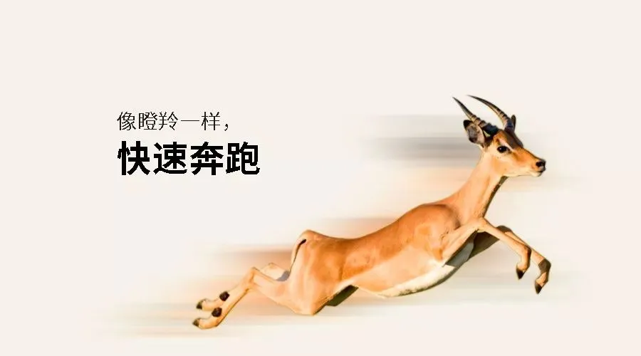 https://img.welllinkio.com//upload/20260803/13170d834045f57ffaa80318d3d7ec6e.JPEG